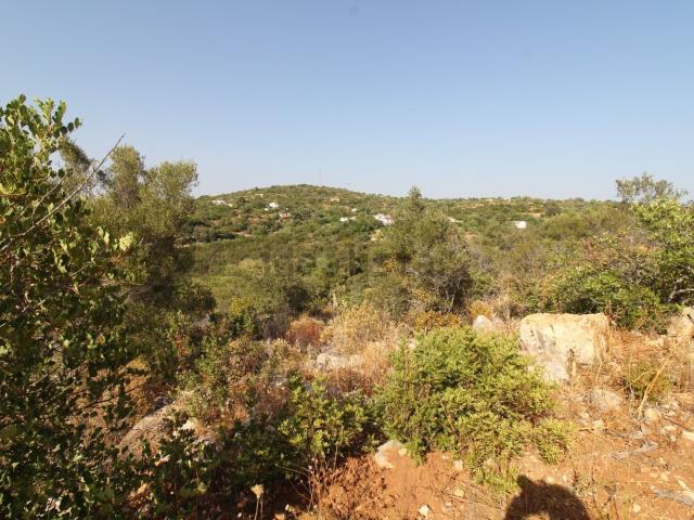 Terreno, Estoi