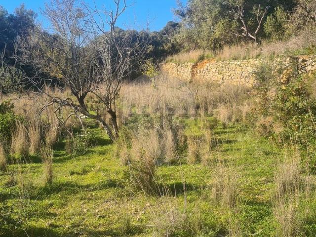 Terreno, Estoi