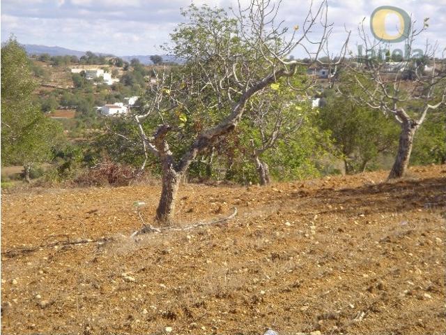 Terreno, Conceição e Estoi, Faro | BPI Expresso Imobiliário