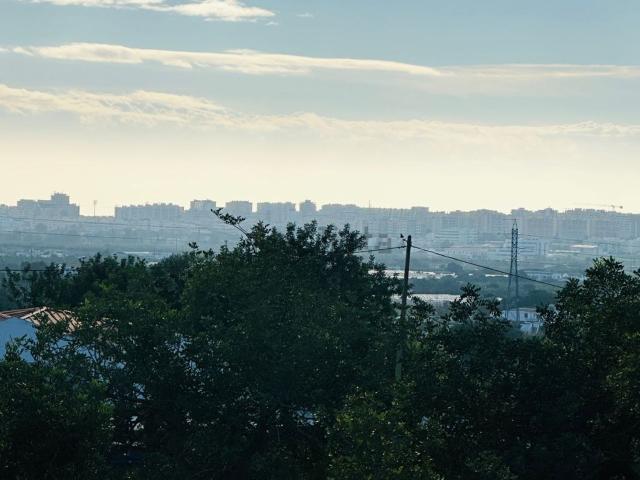 Terreno, Conceição