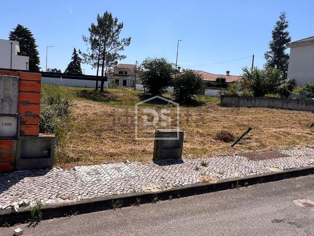 Terreno, Condeixa a Velha e Condeixa a Nova