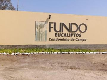 Terreno Condominio De Campo Fundo Eucaliptos Guadalupe, Ica
