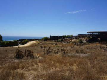 Terreno condominio Punta Lobos