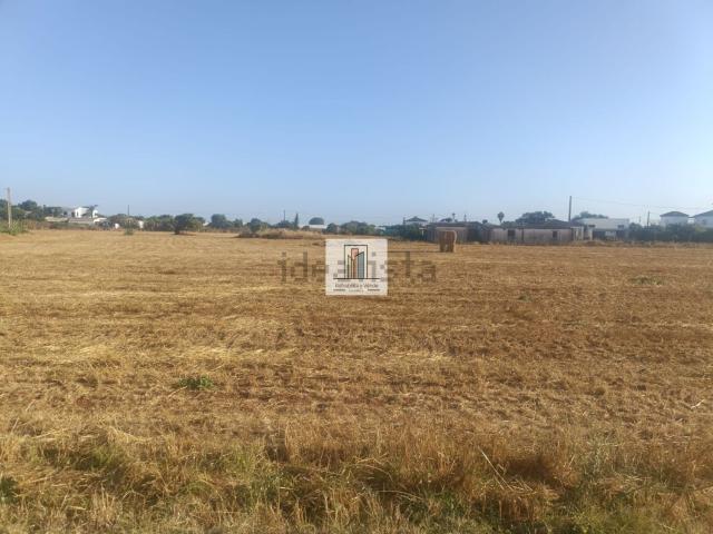 Terreno, Conil de la Frontera