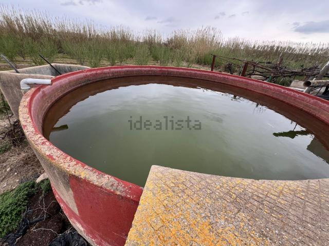 Terreno, Constanti