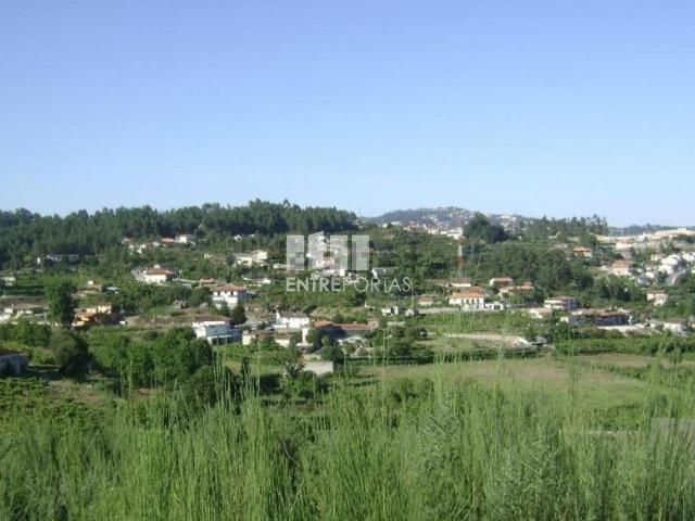 Terreno, Constance