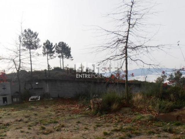 Terreno, Constance