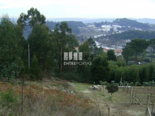 Terreno, Constance