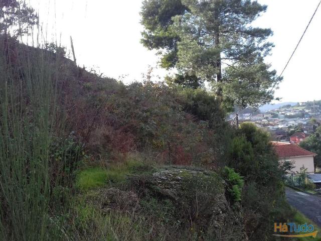 Terreno construção Rebordosa | 26063335708