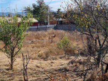 Terreno Construccion en Venta en Huanhuali