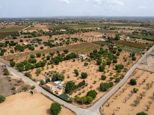 Terreno, Consell