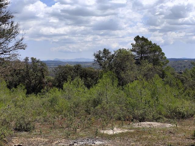 Terreno, Costitx