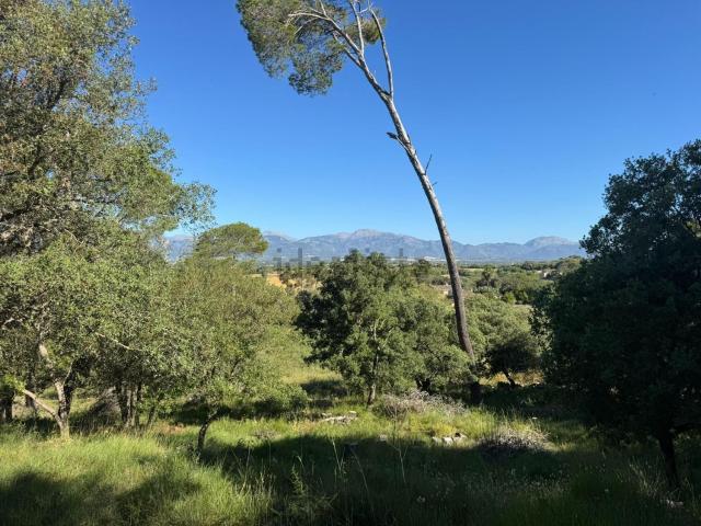 Terreno, Costitx