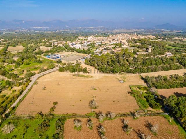 Terreno, Costitx