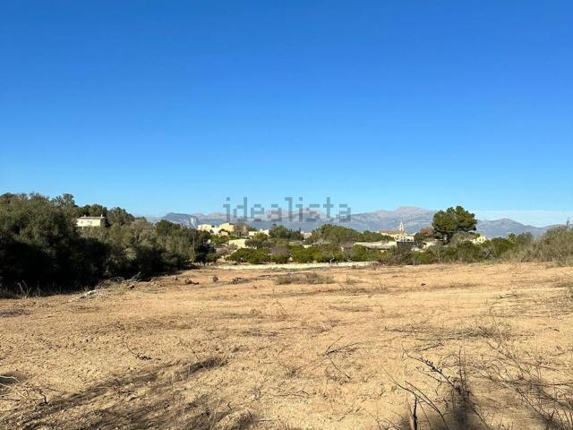 Terreno, Costitx