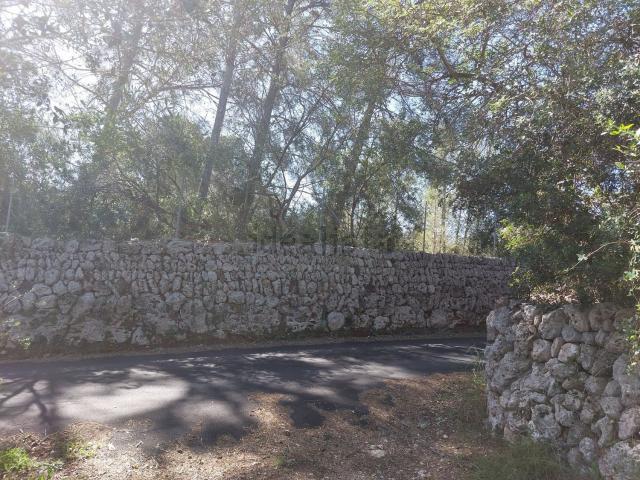 Terreno, Costitx