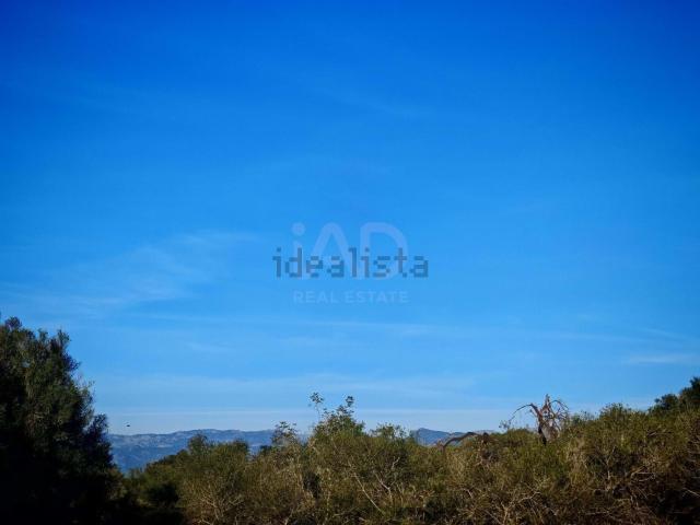 Terreno, Costitx