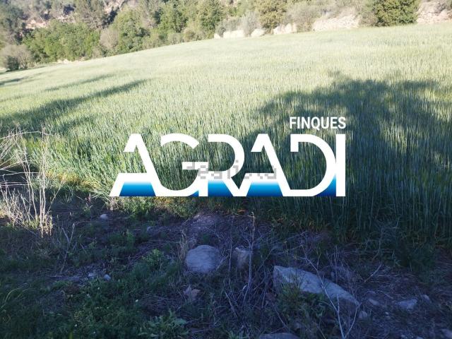 Terreno, Copons