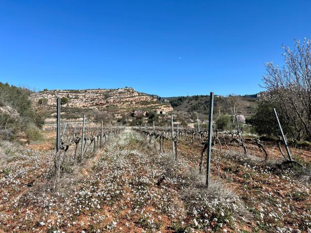 Terreno, Cornudella de Montsant
