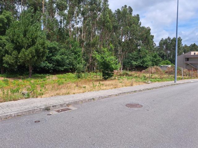 Terreno, Coronado