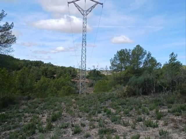 Terreno, Corbera d&apos Ebre