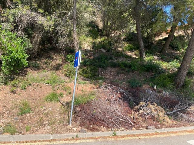 Terreno, Corbera de Llobregat