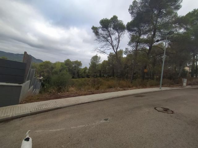 Terreno, Corbera de Llobregat