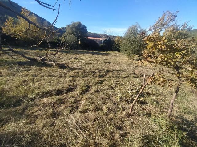 Terreno, Corbera de Llobregat