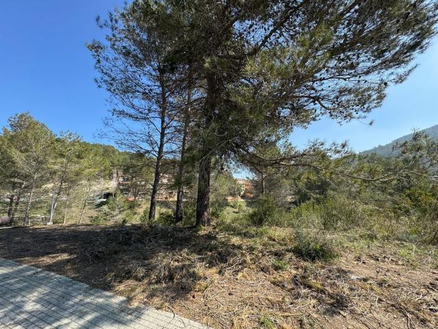 Terreno, Corbera de Llobregat