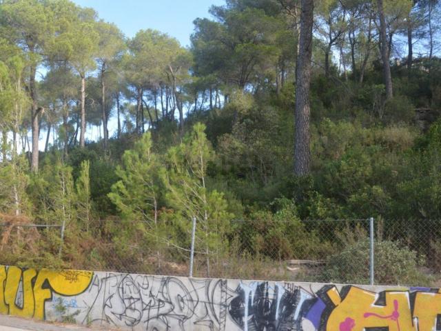Terreno, Corbera de Llobregat