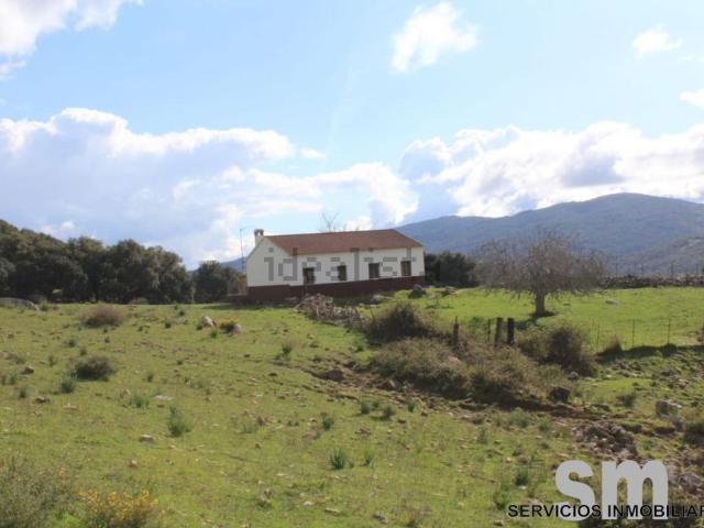 Terreno, Cortes de la Frontera