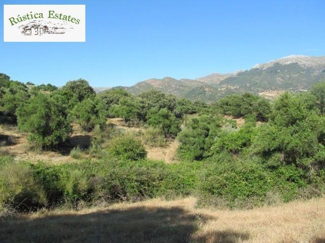 Terreno, Cortes de la Frontera