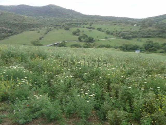 Terreno, Cortes de la Frontera