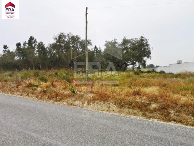 Terreno, Coruche