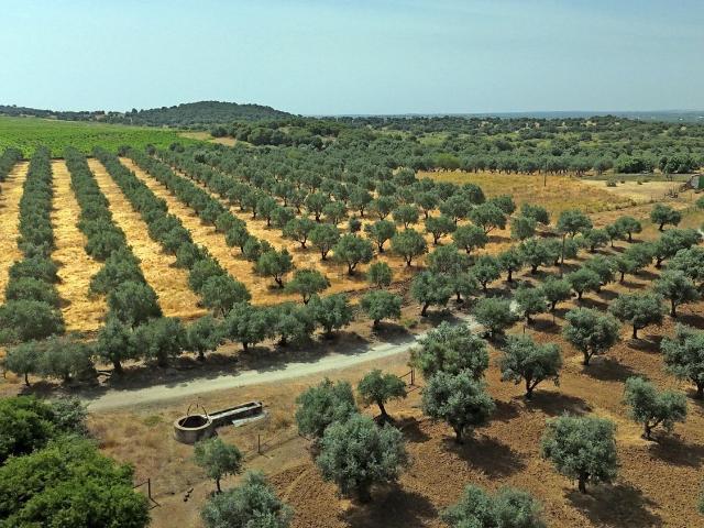 Terreno, Corval