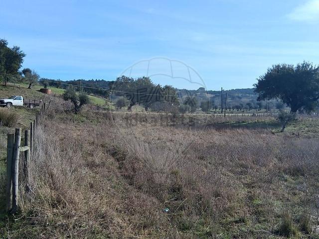 Terreno, Couço