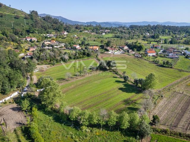 Terreno, Coucieiro