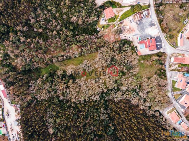 Terreno Covão Alto Aljubarrota | 26083918115