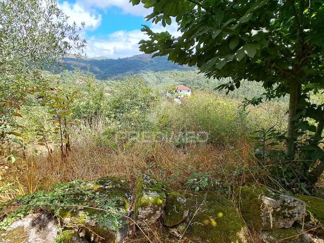 Terreno c/projeto aprovado de vivenda c/pisicina