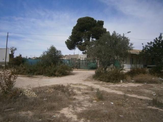 Terreno, Crevillente