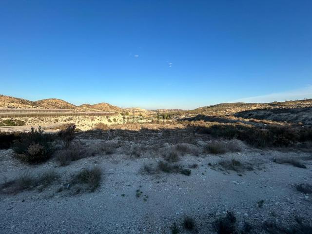Terreno, Crevillente