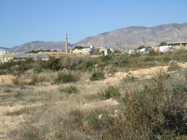 Terreno, Crevillente