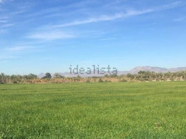Terreno, Crevillente