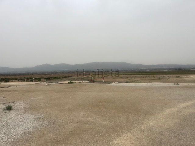 Terreno, Crevillente