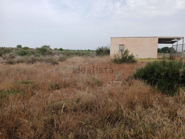 Terreno, Crevillente