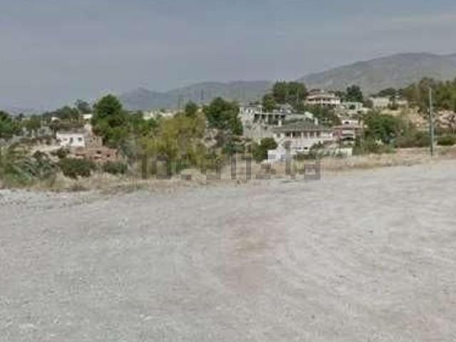 Terreno, Crevillente