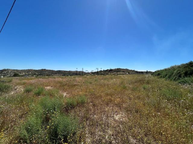 Terreno, Crevillente