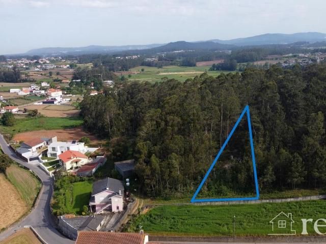 Terreno, Cristelo