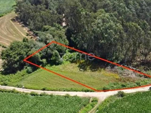 Terreno, Cristelo