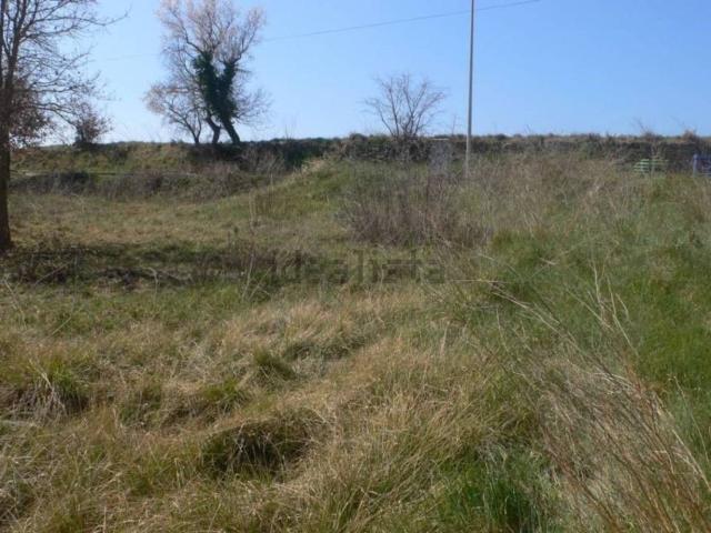 Terreno, Cruílles, Monells i Sant Sadurni de l&apos Heura